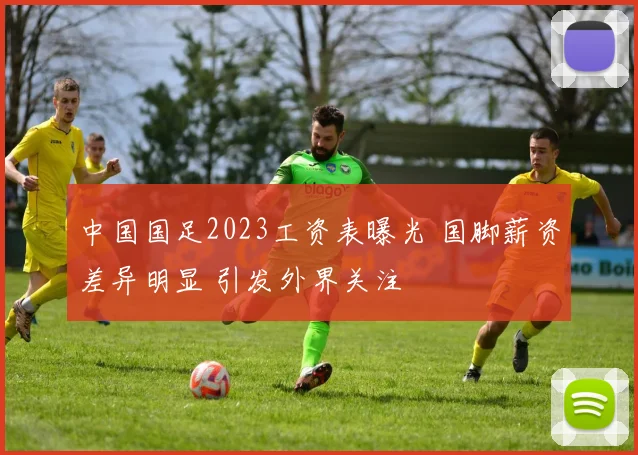 中国国足2023工资表曝光 国脚薪资差异明显 引发外界关注