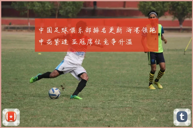 中国足球俱乐部排名更新 海港领跑申花紧追 亚冠席位竞争升温