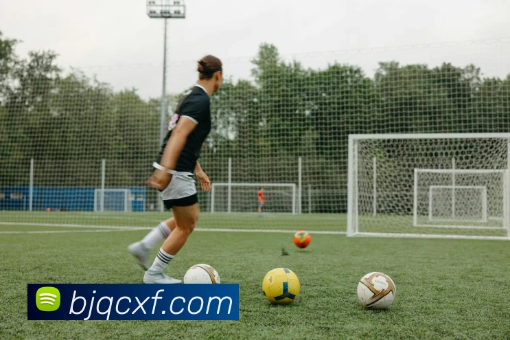 米兰官方体育平台平台生态图