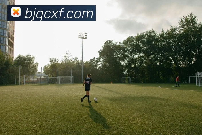 米兰官方体育平台全站App